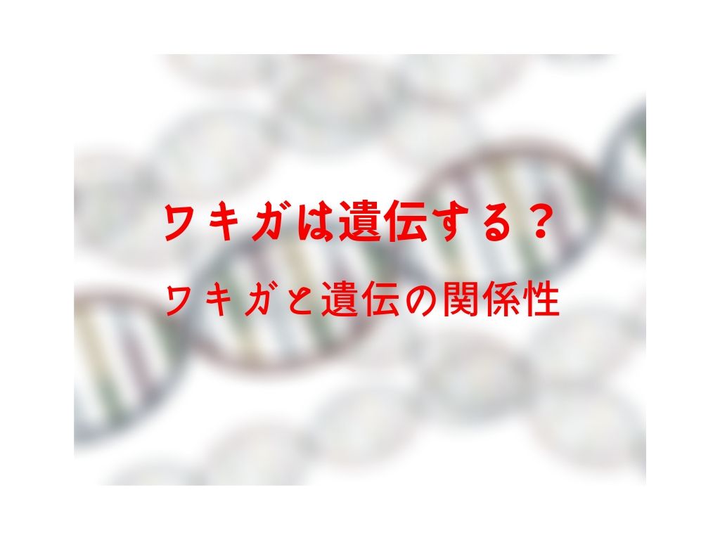 ワキガと遺伝の関係性